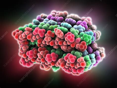 beta-amyloid protein|Amyloid Beta Peptide .